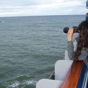 Meet your Posher, Roseann